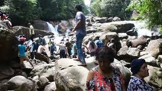 Kanneliya waterfall [upl. by Reinald254]