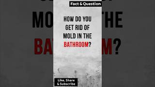 How Do You Get Rid of Mold in the Bathroom factshorts [upl. by Josey]