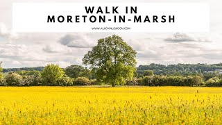 MORETON IN MARSH WALKING TOUR  Moreton in Marsh Walk  Moreton in Marsh Circular Walks  Cotswolds [upl. by Pas691]