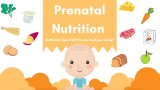 OAND Prenatal Nutrition [upl. by Emmeram]