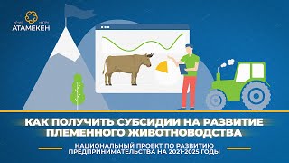 Как получить субсидии на развитие племенного животноводства [upl. by Grover414]