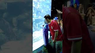 Sea world part 1 seaworld ancol [upl. by Eizzo604]