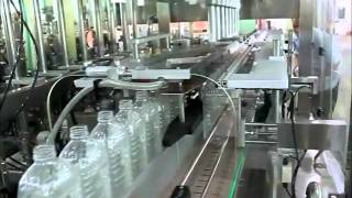 AFM880 Automatic Rotary Lobe Pump Filling Machinewmv [upl. by Karita451]