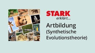 Artbildung nach der Synthetischen Evolutionstheorie  STARK erklärt [upl. by Yartnod]