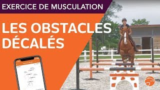 Exercice des obstacles décalés  Equisense [upl. by Cati]