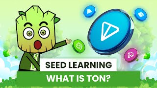 What is TON Blockchain Simply explained for Beginners  SEED Learning 6 [upl. by Yror]