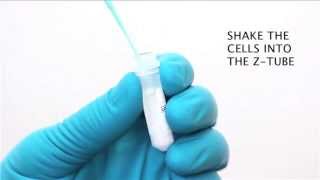 Testing C difficile from a stool sample with the GenomEra CDX system [upl. by Weed648]