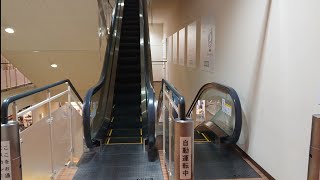 【エスカレーター】ニトリ 御経塚店 自動 【Escalator】NITORI [upl. by Mehs]