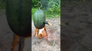 Survival Skills SIMPLE and USEFUL with steam bad water in watermelon bushcraft camping outdoors [upl. by Hyman]