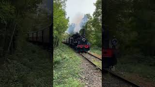 Passage du Ried express dans la forêt pendant l’automne train vapeur passion alsace [upl. by Race]