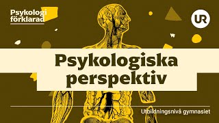 Psykologiska perspektiv förklarade  PSYKOLOGI  Gymnasienivå [upl. by Tsirc659]