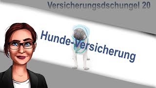 Welche Versicherungen braucht man für den Hund [upl. by Aratak]