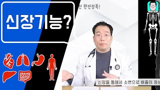 혈청 크레아티닌 신장기능 검사 결과 궁금하세요 [upl. by Gnues111]