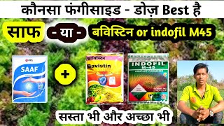 saff fungicides vs indofil m45  कौनसा फूँगीसाइड कॉम्बिनेशन सबसे अच्छा [upl. by Virendra]