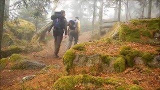 Walking series Vosges France  Hiking Taennchels Mystical Forest 1 [upl. by Otsirc]