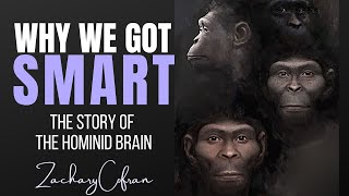 Why We Got Smart  The Story of the Hominid Brain  with ZACHARY COFRAN [upl. by Stevy]