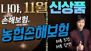 11월 NH농협손해보험 신상품이슈 16인실최고한도가성비쩌는보험료 [upl. by Inod]