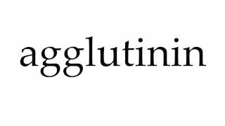 How to Pronounce agglutinin [upl. by Reteid372]