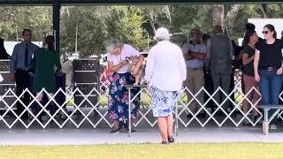 Central Florida Kennel Club BPUP Swedish Vallhunds 1122024 [upl. by Hopkins144]