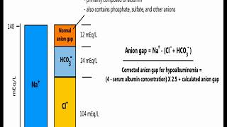 Understanding Anion Gap in 5 minutes [upl. by Liew]