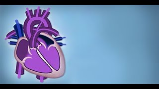 Fetal Circulation by L McCabe  OPENPediatrics [upl. by Atterahs]