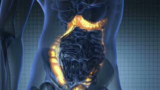 Sigh Energy Digestive System Codes Powerful Plus Sound Healing [upl. by Brenk]