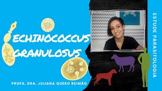 Aula sobre Echinococcus granulosus Hidatidose e Equinococose [upl. by Enilegna]