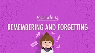 Remembering and Forgetting Crash Course Psychology 14 [upl. by Norri834]