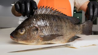 The Truth About Tilapia [upl. by Carlile]