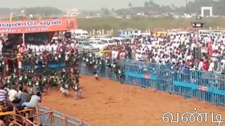 கோவை ஜல்லிக்கட்டு சீறிப்பாய்ந்த காளைகள் Coimbatore Jallikattu [upl. by Idisahc]