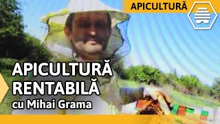 Miere de salcâm tratamente Varroa și apicultură rentabilă GRAMA MIHAI [upl. by Luana]