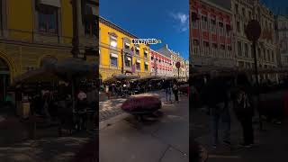 Free Walking Tour of Oslo Norway oslo oslowalkingtour travel norway walkingtour citylife [upl. by Hylton]