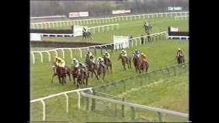 1988 Tote Cheltenham Gold Cup Chase [upl. by Pengelly]