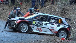 WRC Rallye Monte Carlo 2024  Action amp Mistakes  ADRacing [upl. by Ragnar]