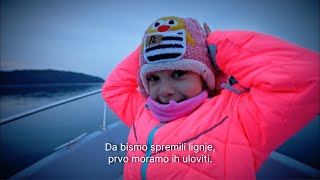 Kako se love lignje  Istrazuju djecaS01E01 [upl. by Ahsilad]