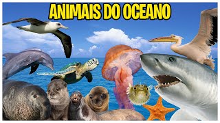 Nome dos Animais do Oceano  Conheça o nome dos animais  Mundo Théo Kids [upl. by Llert]