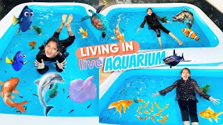 Living In Aquarium🐠 മീൻ കടിച്ചു🐬 ആദ്യമായി 🐟minsha [upl. by Stephine]