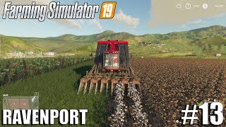 COTTON HARVESTING Ravenport  Timelapse 13  Farming Simulator 19 [upl. by Busiek457]