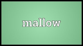 Mallow Meaning [upl. by Osicran]