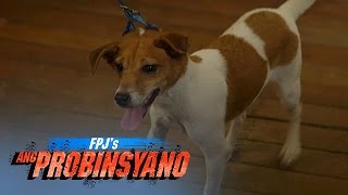 FPJs Ang Probinsyano Caryok With Eng Subs [upl. by Noxas]