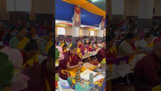 Mandala Offering Time 🕰️ 20241202 at UDC🌸☸️🌼buddhagyan shortvideo [upl. by Yelad]