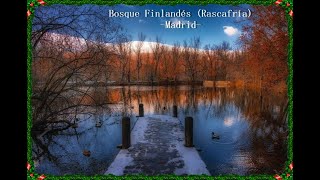 Bosque Finlandés Rascafría Madrid [upl. by Ume]