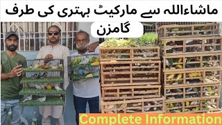 Lalukhet Sunday Market Mashallah say Behtari ki Taraf Gamzan  Latest Update 03 Nov 24 Asif birds [upl. by Bernhard]