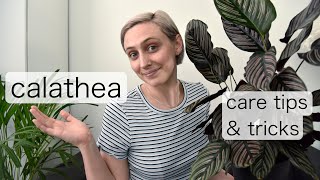 CALATHEA Plant Care Tips  Prayer Plant Care [upl. by Elwira]