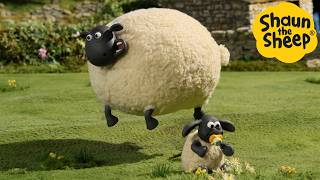 Can Sheep Fly 🐑 Shaun the Sheep  Cartoons for Kids 🐑 Full Episodes Compilation 1 hour [upl. by Marney]