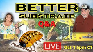 Isopod Substrate  Good Better BEST Lets Discuss [upl. by Willette300]