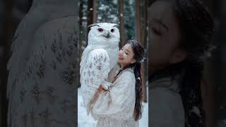 SNOWY OWL IS SO BEAUTIFUL owl [upl. by Andreana488]