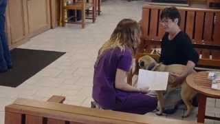 Veterinary Informational Interview [upl. by Mercola488]