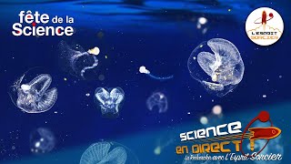 UN OCÉAN DE RICHESSES  Science En Direct 2020 [upl. by Neeluqcaj]