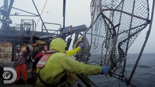 Pescadores encontram suas gaiolas para caranguejos destruídas  Pesca Mortal  Discovery Brasil [upl. by Ainigriv]